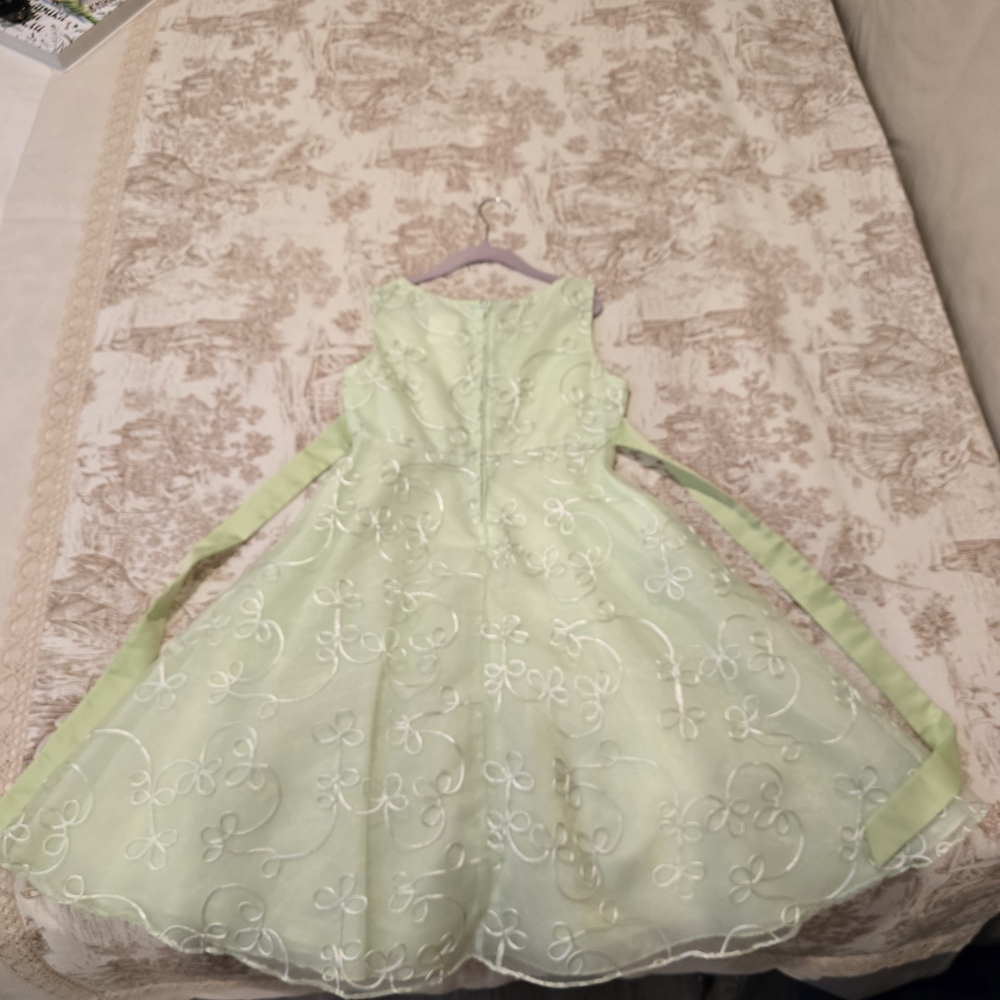 Rare Editions Light Green Formal Kids Dress